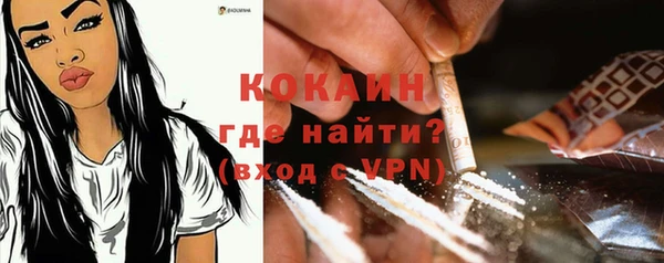 мдпв Володарск