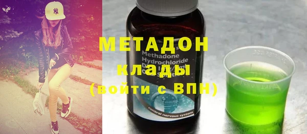 шишки Сосновый Бор