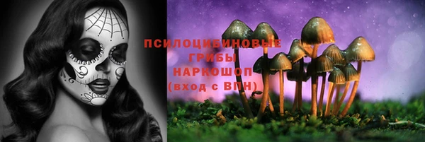 мдпв Володарск