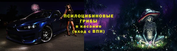 мдпв Володарск
