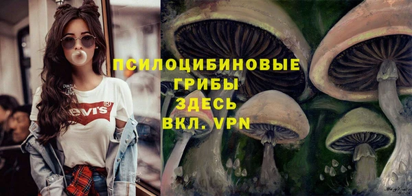 герыч Вязьма