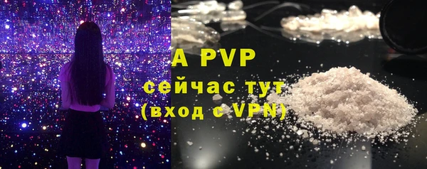 мдпв Володарск