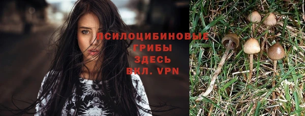 гашик Волоколамск