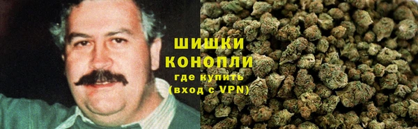 мдпв Володарск