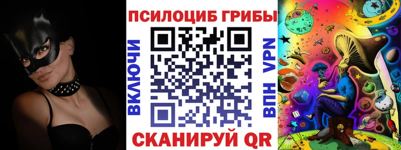 Псилоцибиновые грибы GOLDEN TEACHER  где купить наркотик  Петухово 